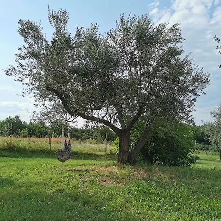 Casa Tijola *